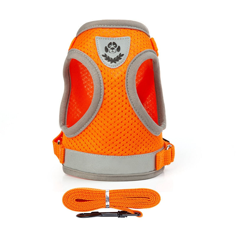 Cat Harness Vest - Orange / XS - cat harness leash