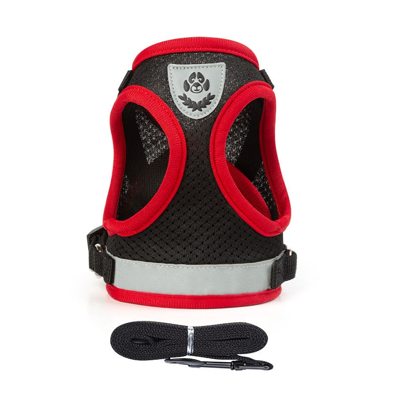 Cat Harness Vest - Black / XS - cat harness leash