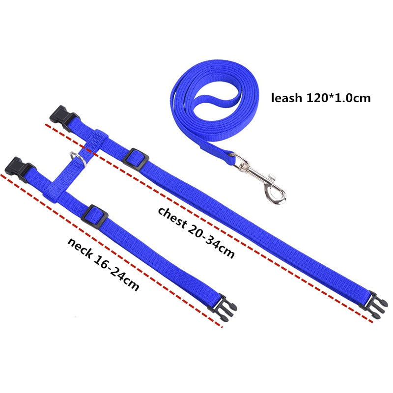 Cat Harness with Neck Buckle - cat harness leash