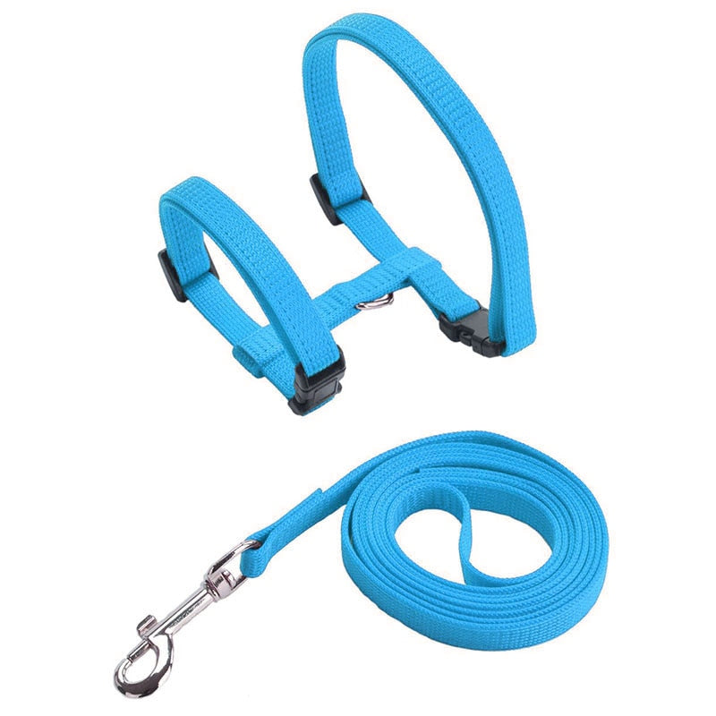 Cat Harness with Neck Buckle - Sky Blue - cat harness leash