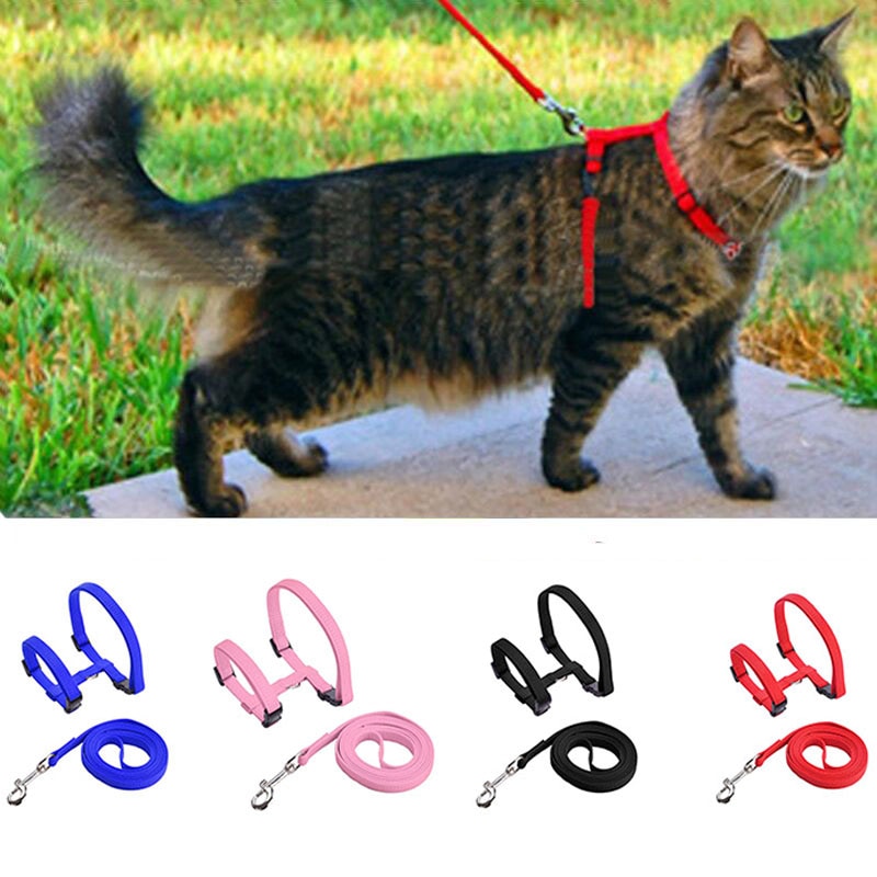 Cat Harness with Neck Buckle - cat harness leash