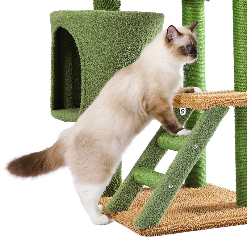 Cat House Scratching Post - Cat scratching post