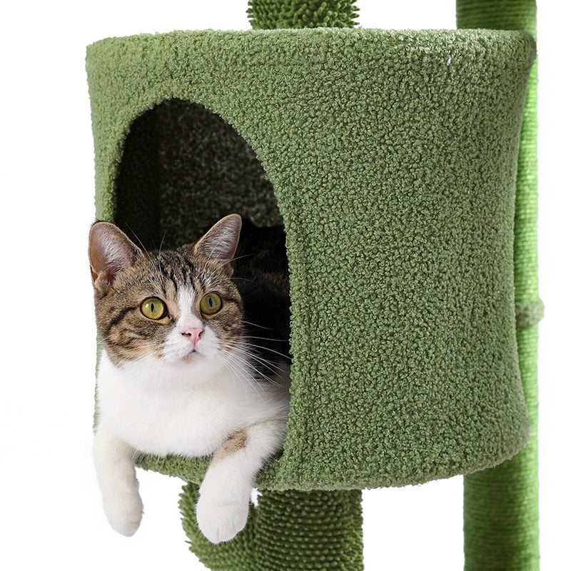 Cat House Scratching Post - Cat scratching post