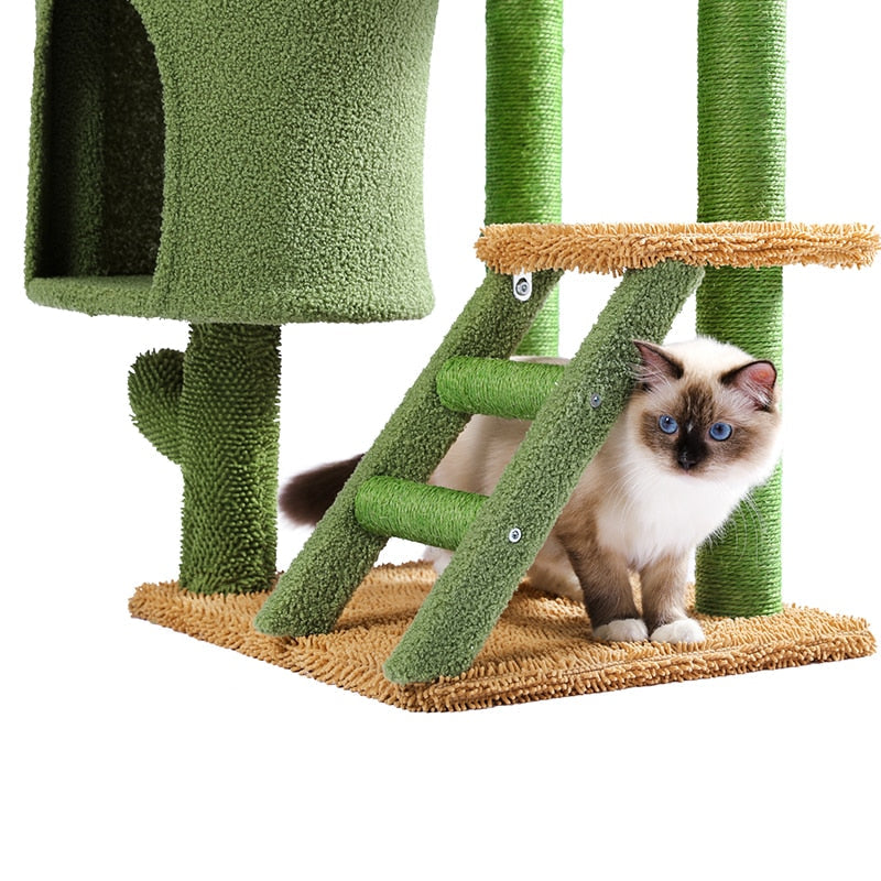 Cat House Scratching Post - Cat scratching post