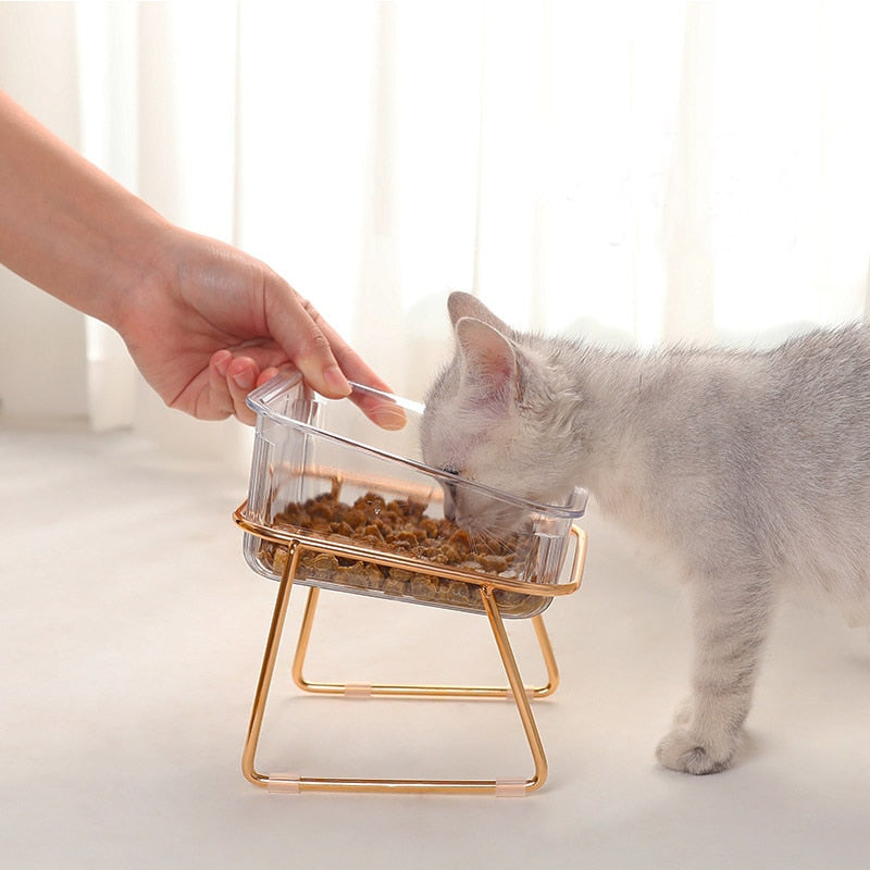 Cat in Glass Bowl - Cat Bowls