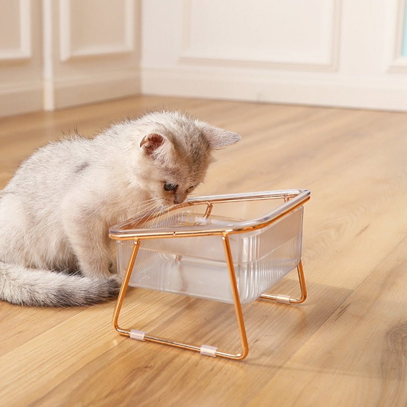 Cat in Glass Bowl - Single Bowl - Cat Bowls