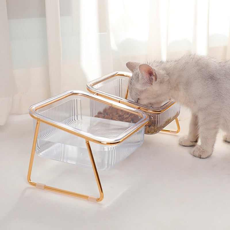 Cat in Glass Bowl - Double Bowl - Cat Bowls