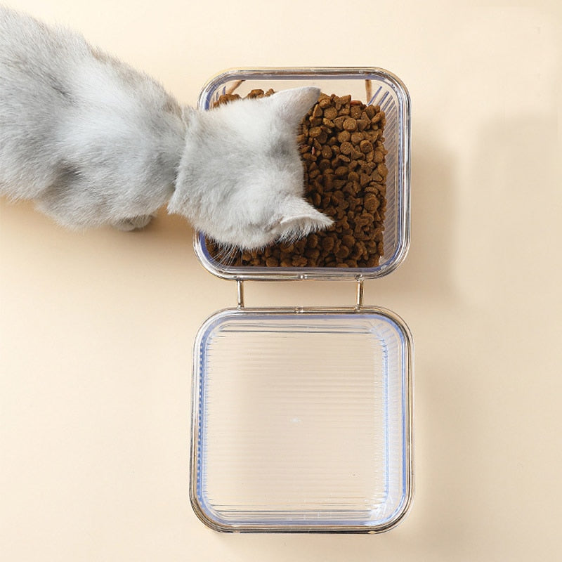Cat in Glass Bowl - Cat Bowls