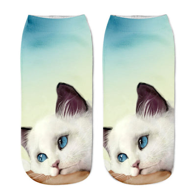Cat in sock - Sky - Cat Socks