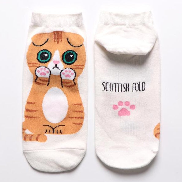 Cat in sock - White - Cat Socks