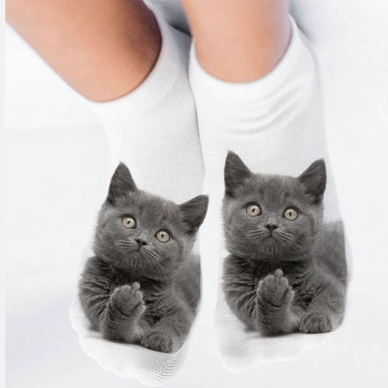 Cat in sock - Cat Socks