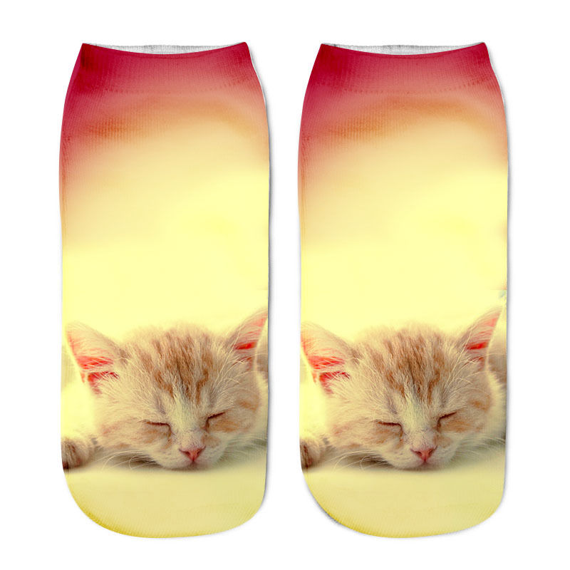 Cat in sock - Sunset - Cat Socks