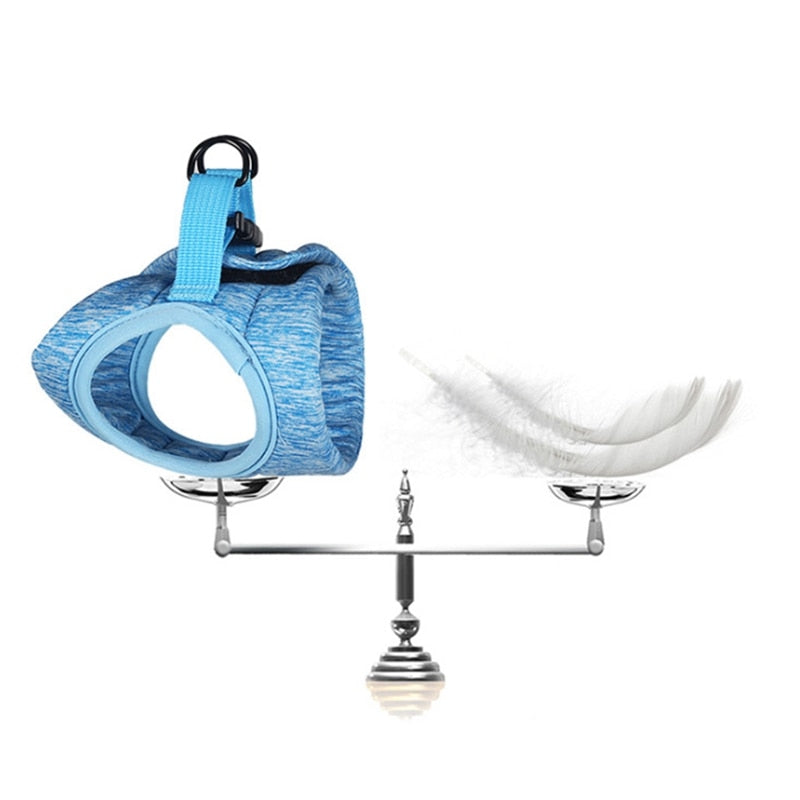 Cat Lightweight Harness - cat harness leash