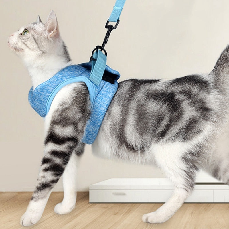 Cat Lightweight Harness - cat harness leash