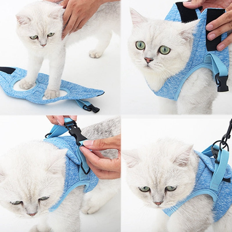 Cat Lightweight Harness - cat harness leash