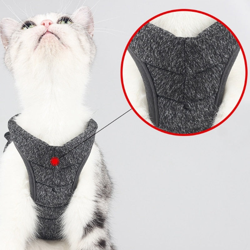 Cat Lightweight Harness - cat harness leash