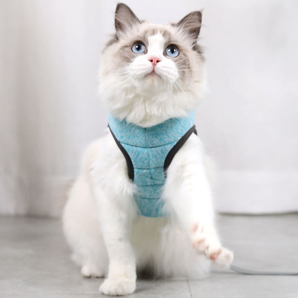 Cat Lightweight Harness - Blue / S - cat harness leash