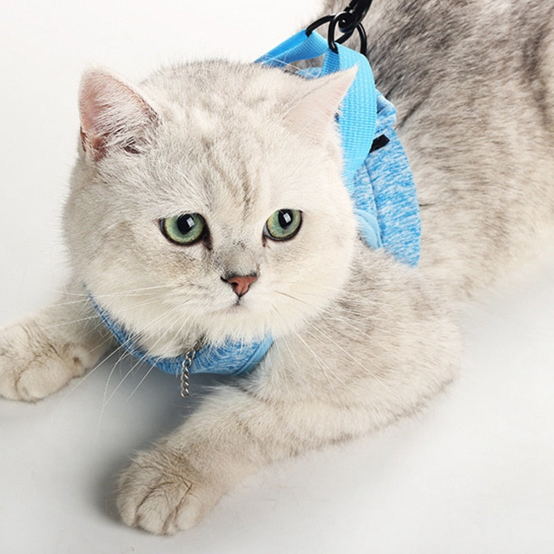 Cat Lightweight Harness - cat harness leash