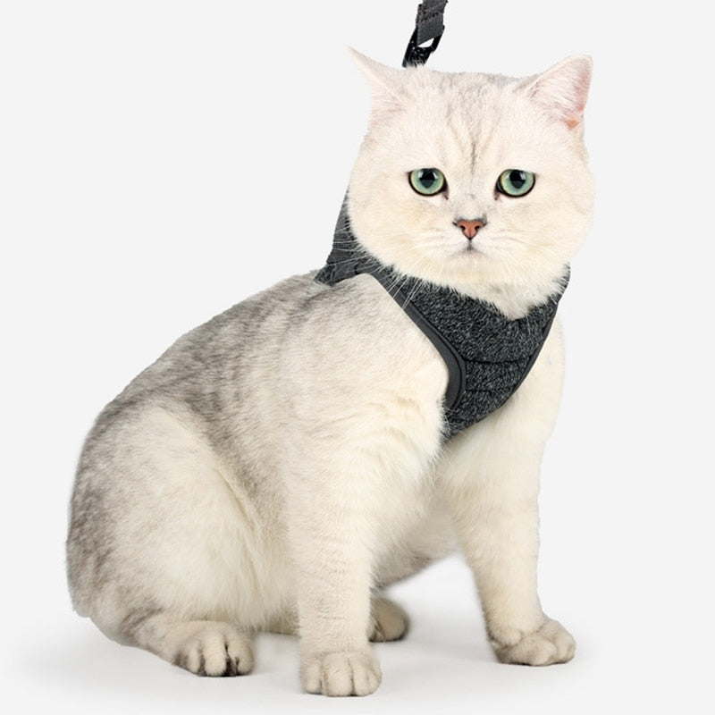 Cat Lightweight Harness - cat harness leash