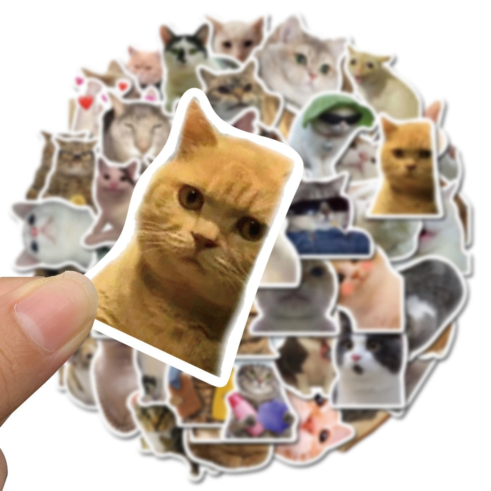 Cat Meme Stickers