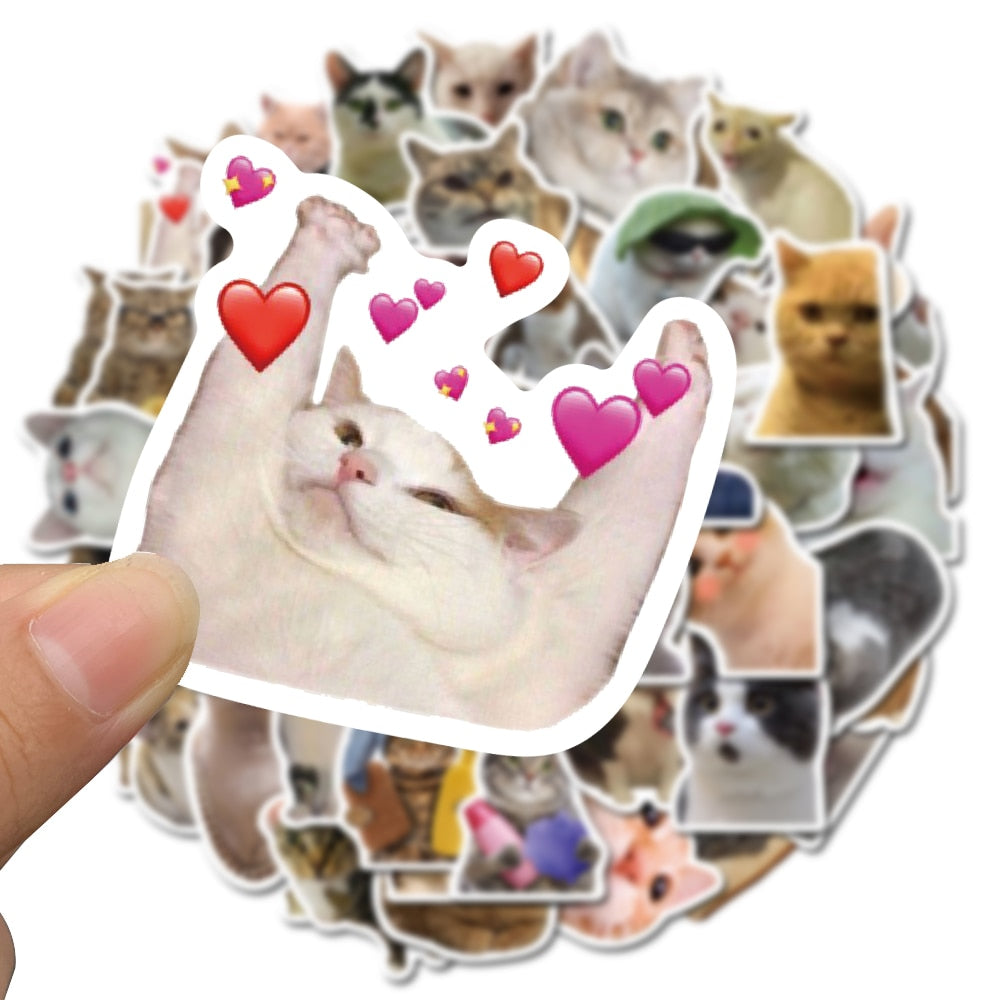 Cat Meme Stickers