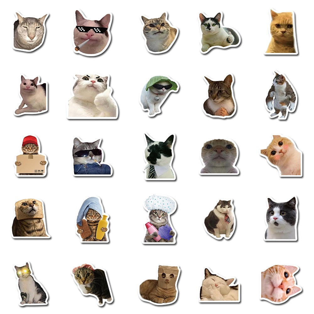 Cat Meme Stickers