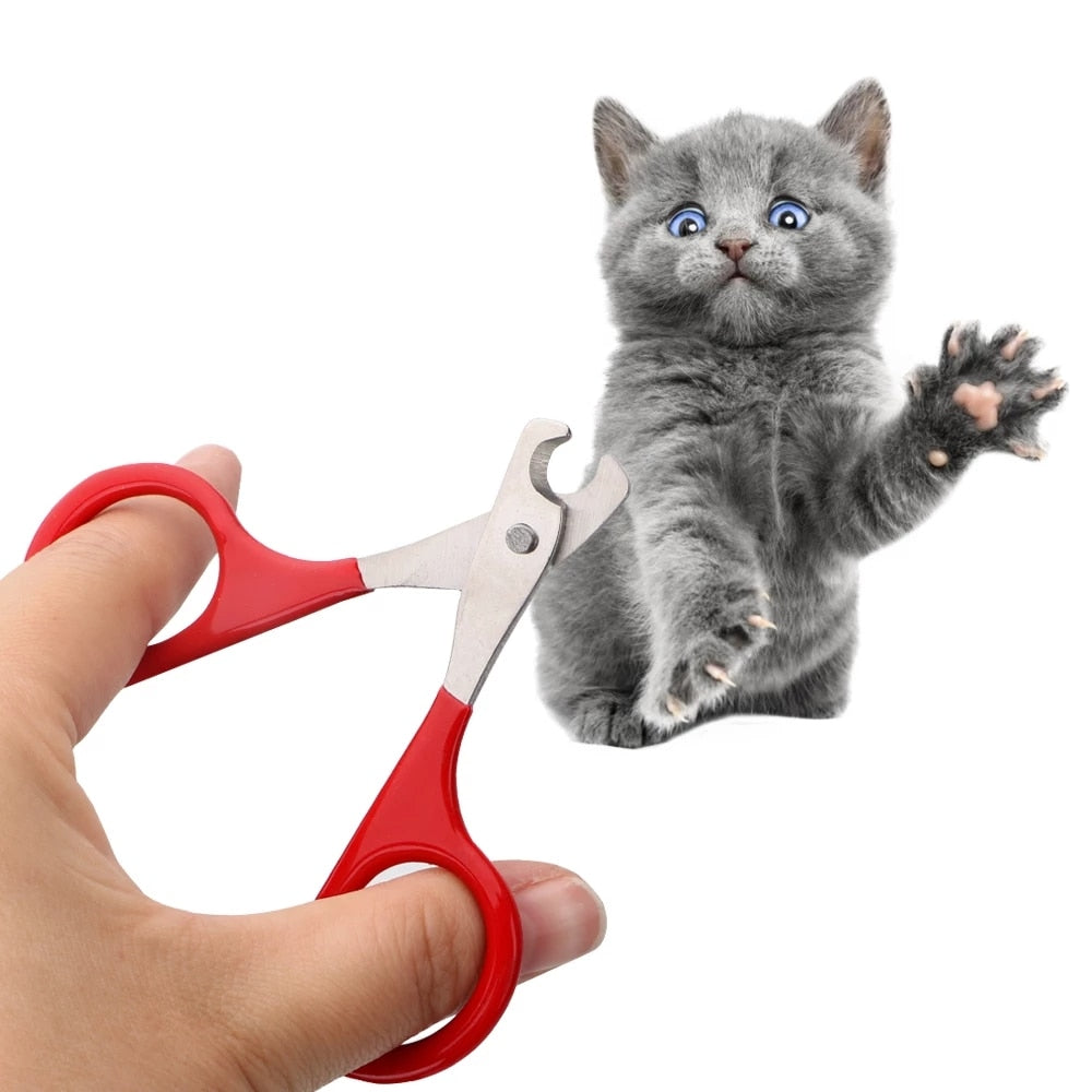 Cat Nail Scissors - Cat nail trimmer