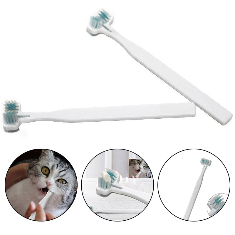Cat Tooth Brush