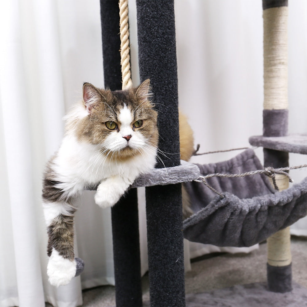 Cat Tree with Hammock - Grey / XL / United States