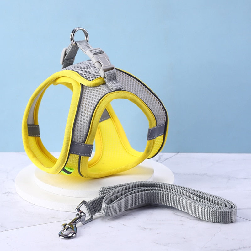 Cat Walking Harness - Yellow / XXS - cat harness leash