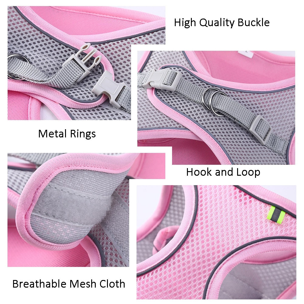 Cat Walking Harness - cat harness leash
