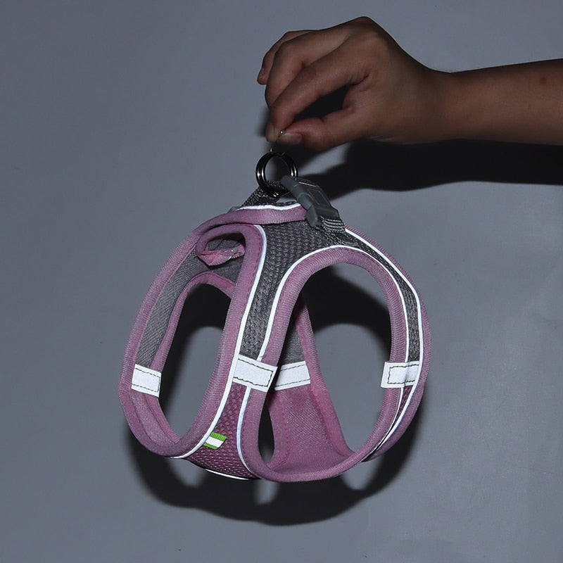 Cat Walking Harness - cat harness leash