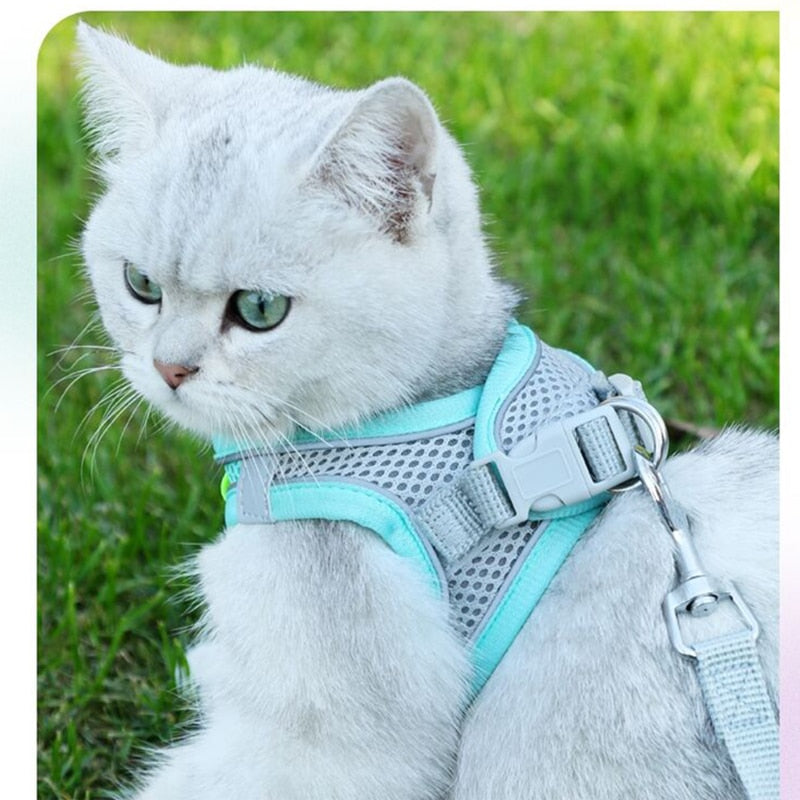 Cat Walking Harness - cat harness leash