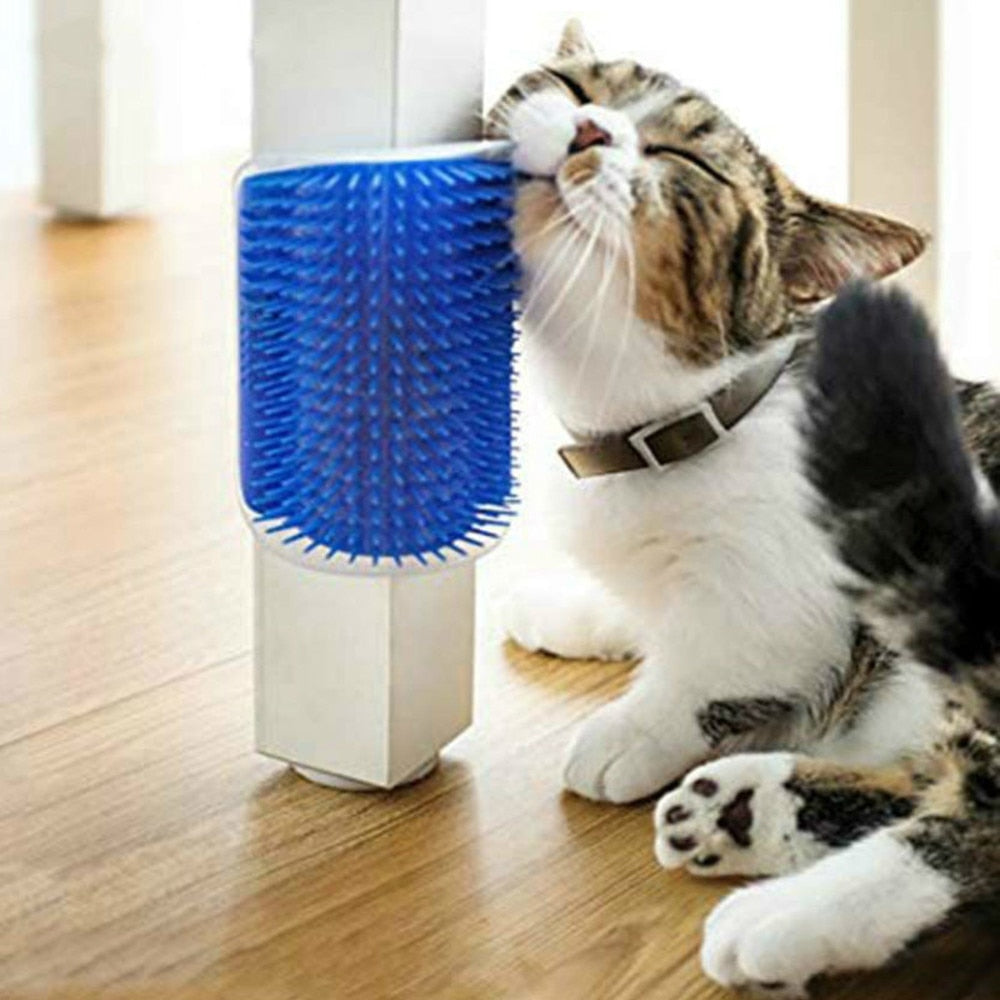 Cat Wall Brush