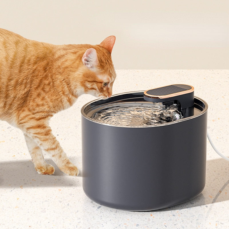 Cat Water Fountain Pump - Cat water fountain