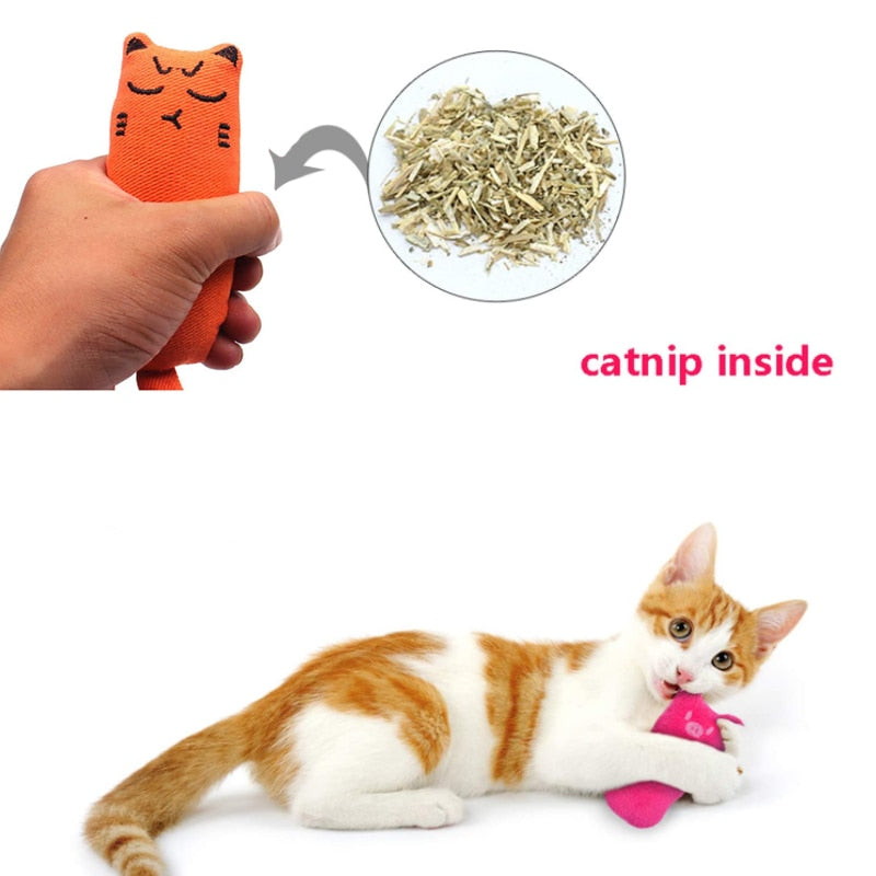 Catnip Cat Pillow