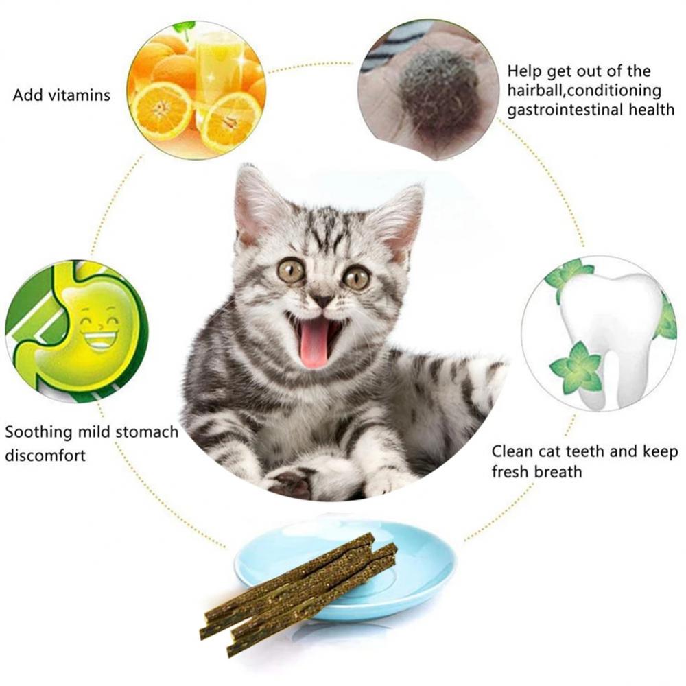 Catnip sticks - Catnip sticks