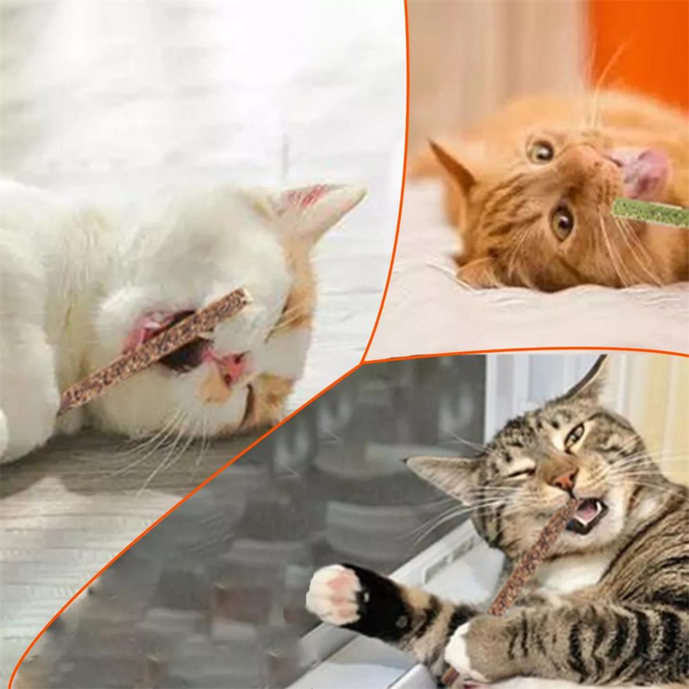 Catnip sticks - Catnip sticks