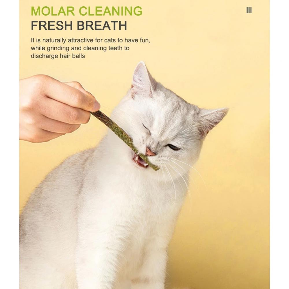 Catnip sticks - Catnip sticks