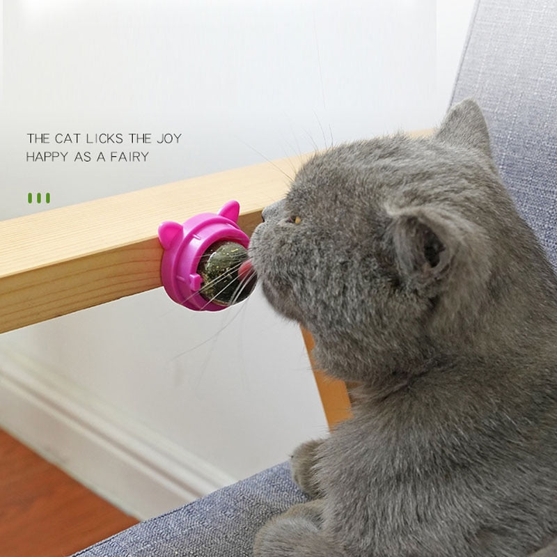 Catnip Wall Ball - Catnip Wall Ball