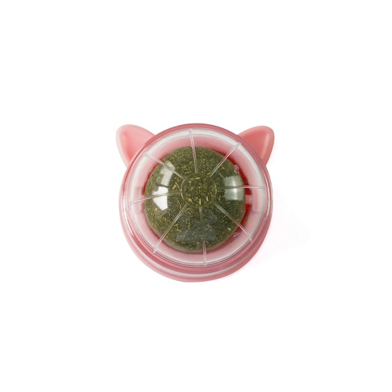 Catnip Wall Ball - Pink - Catnip Wall Ball