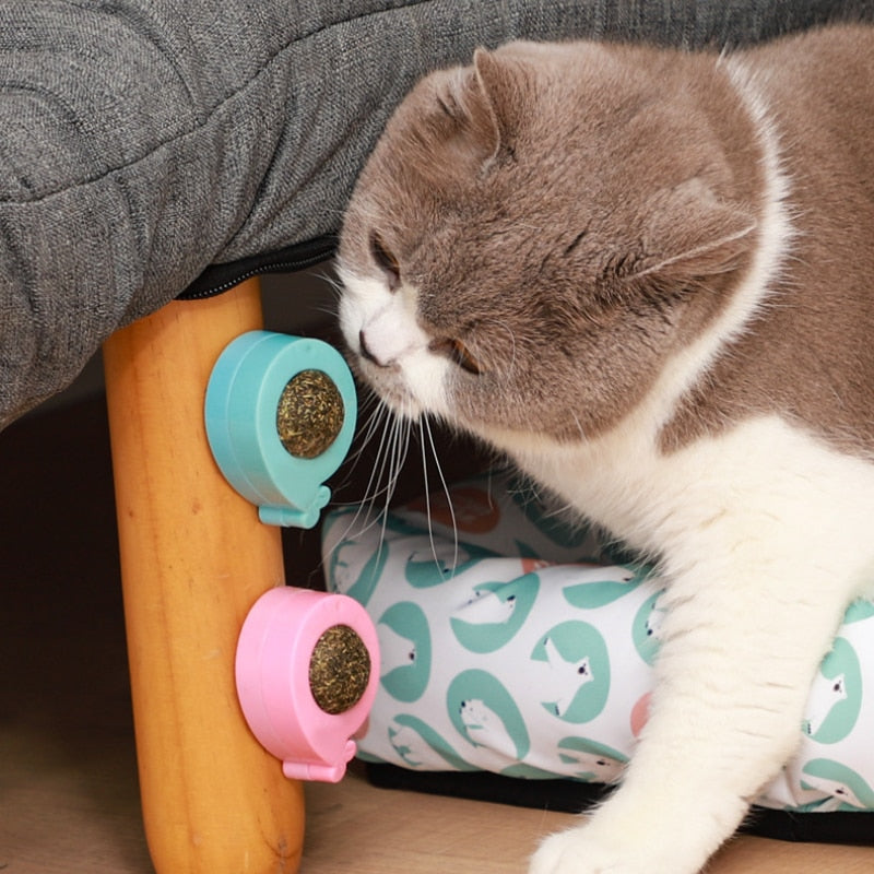 Catnip Wall Ball - Catnip Wall Ball