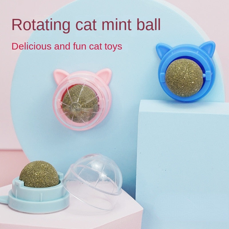 Catnip Wall Ball - Catnip Wall Ball