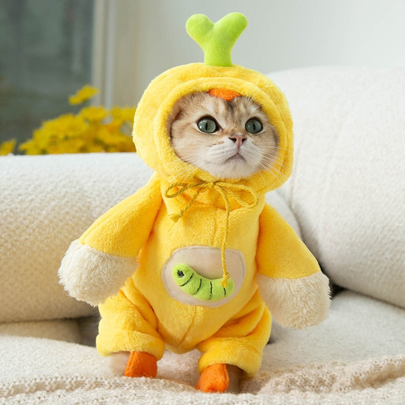 Chicken Costume for Cat - Yellow / S
