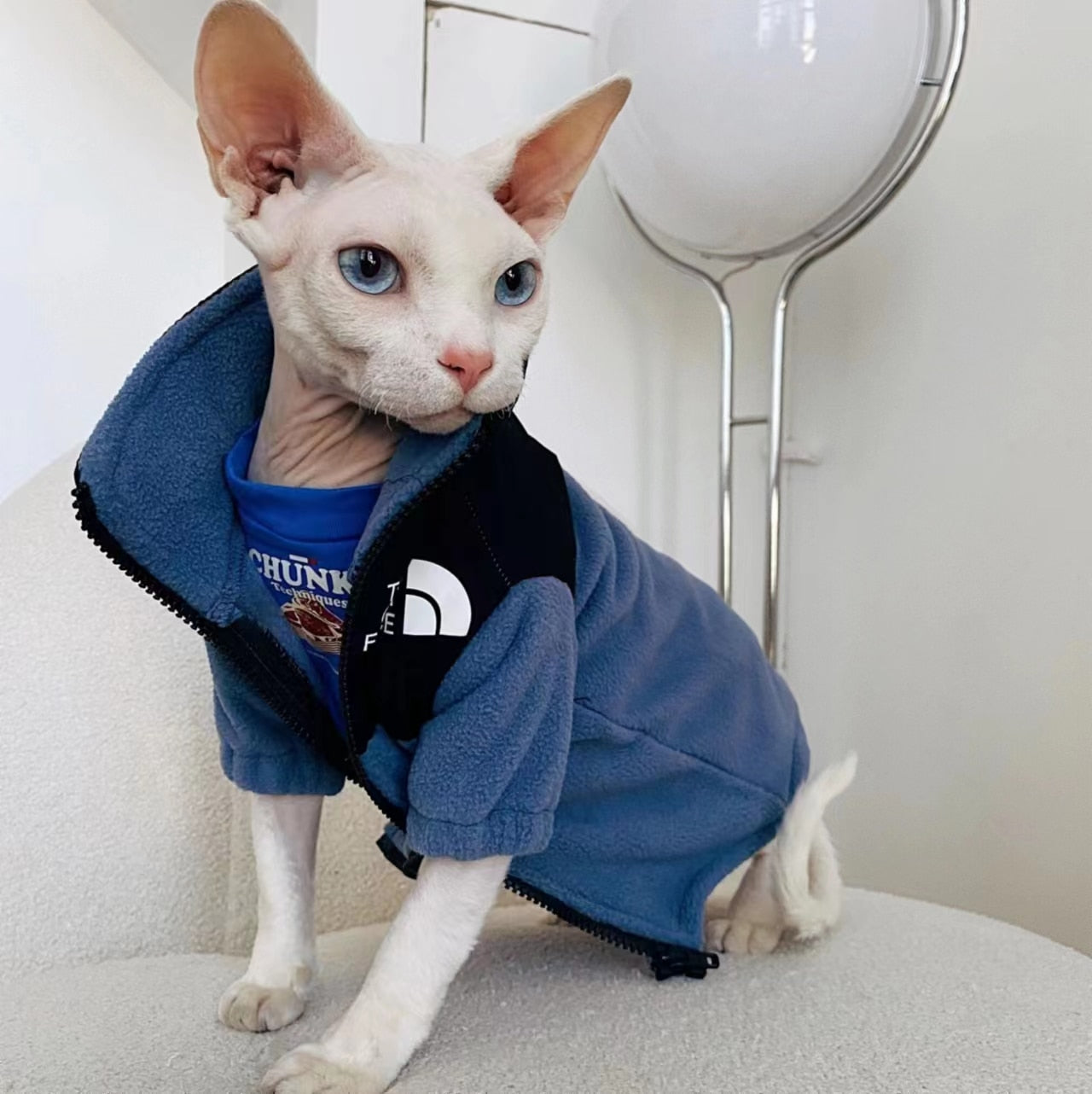 Cool Cat Clothes - Clothes for cats