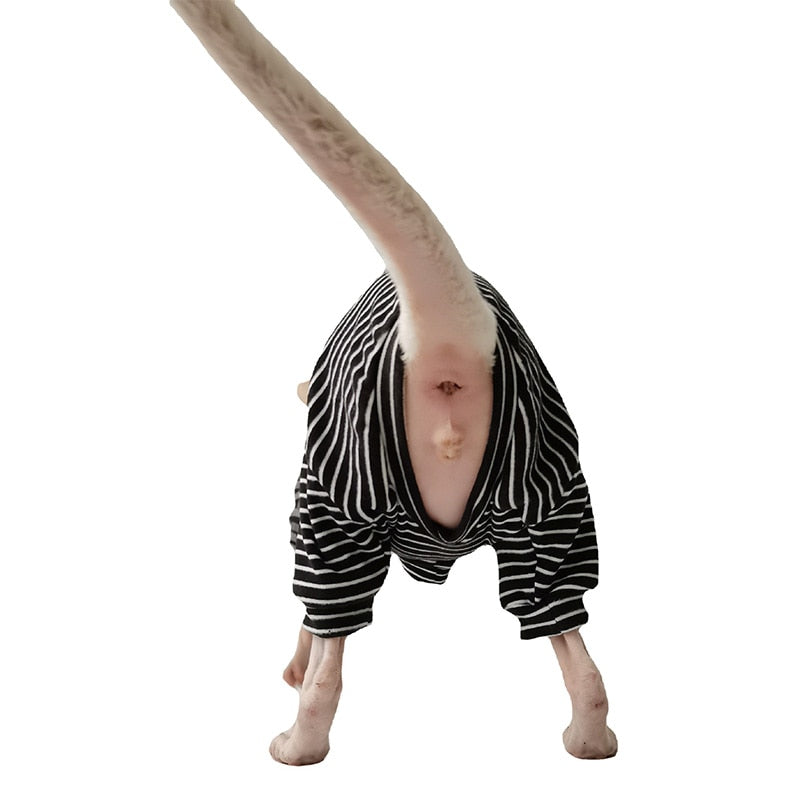 Cool Sphynx Cat Clothes - Clothes for cats