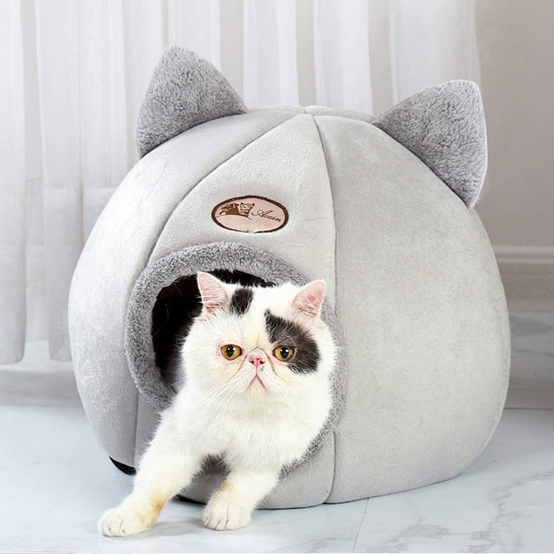 Covered Cat Bed