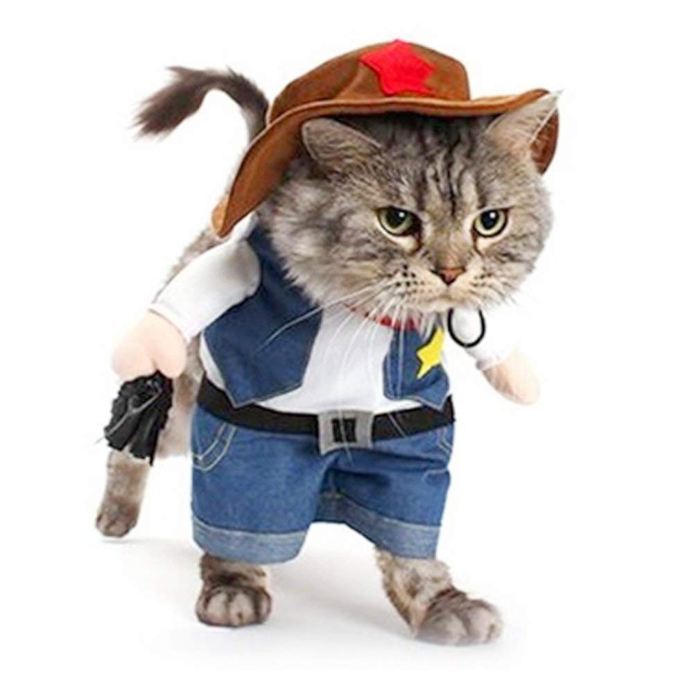 Cowboy Costume for Cats