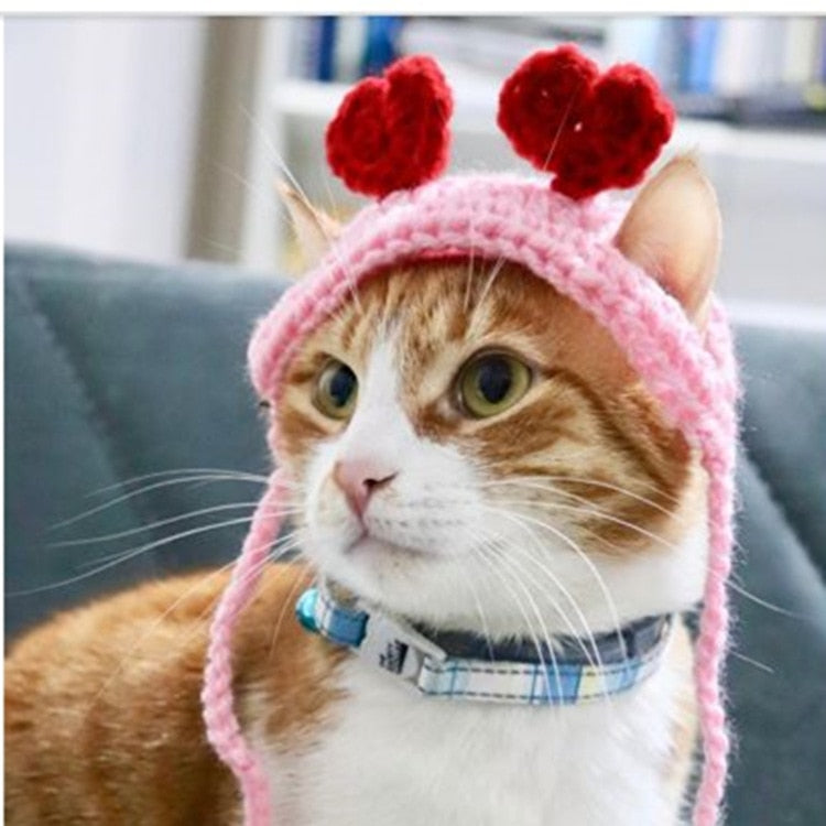 Crochet Beanie for Cat - Beanies for Cats