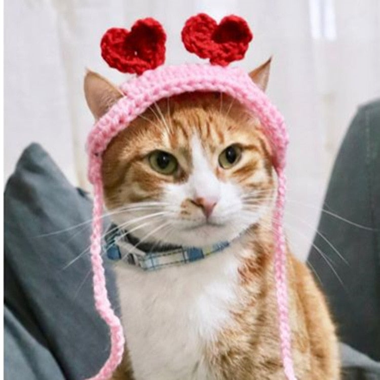Crochet Beanie for Cat - Beanies for Cats